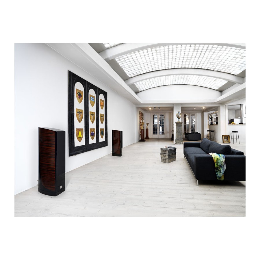 DALI EPICON 6 ( à l'unité ) DALI EPICON 6 ( à l'unité )