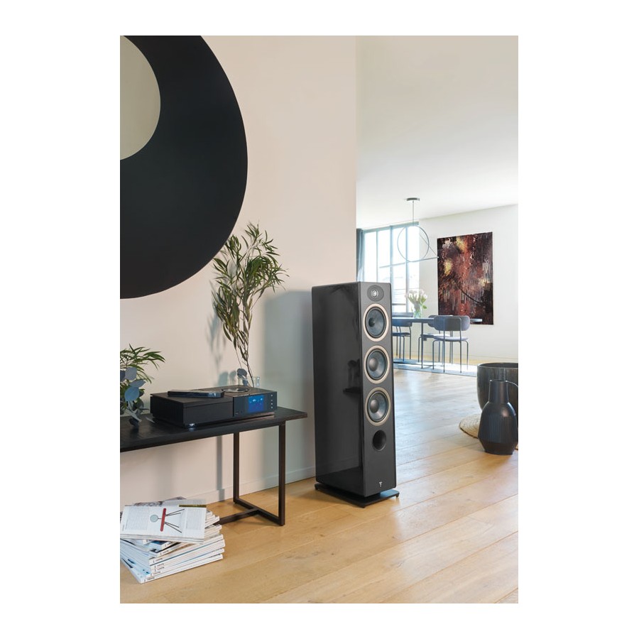 Focal PS25 Câble Enceintes Performance 2,5mm² - 12m - Haute Qualité Audio