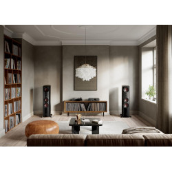 DALI EPIKORE 9 (à l'unité)