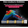 LG OLED42C5