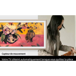 SAMSUNG The Frame 43" (43LS03FA)