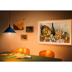 SAMSUNG The Frame 55" (55LS03FA)