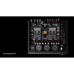 EVER SOLO EVERSOLO DAC Z10 vue interne circuits, modules alimentation et puce Eversolo FIA