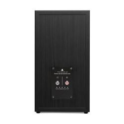 TRIANGLE BOREA BR03 enceinte bibliothèque noir, face arrière bornier double et plaque signalétique