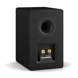 DALI KUPID enceinte bibliothèque noire, vue arrière port bass-reflex et bornier double