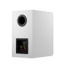 DYNAUDIO EMIT 20 enceinte bibliothèque blanc satin, face arrière évent bass-reflex et bornier connectique