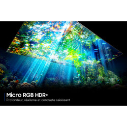 SAMSUNG TMR55R85H TV Micro RGB HDR+, illustration profondeur et contraste scène sous-marine colorée