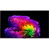 LG OLED55G6 - Image 12