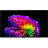 LG OLED83G6 TV OLED 83 pouces, vue de face écran avec visuel artistique multicolore