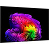 LG OLED97G6 TV OLED 97 pouces, vue de trois quarts droit affichage artistique multicolore