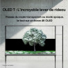 LG OLED77T4 TV OLED 77 pouces, démonstration mode transparent vers mode opaque avec arbre fleuri 4K