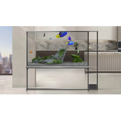 LG OLED77T4 TV OLED 77 pouces transparent affichant un aquarium dans une cuisine moderne