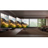 XGIMI TITAN vidéoprojecteur longue focale, comparatif tailles projection 100 à 250 pouces dans salon