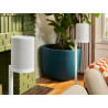 SONOS ERA 100 SL enceinte blanche sur pied, salon avec cheminée verte et plante