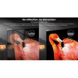 HISENSE 75UR9S TV MiniLED 75 pouces, technologie dalle mate anti-reflets comparatif flamant rose