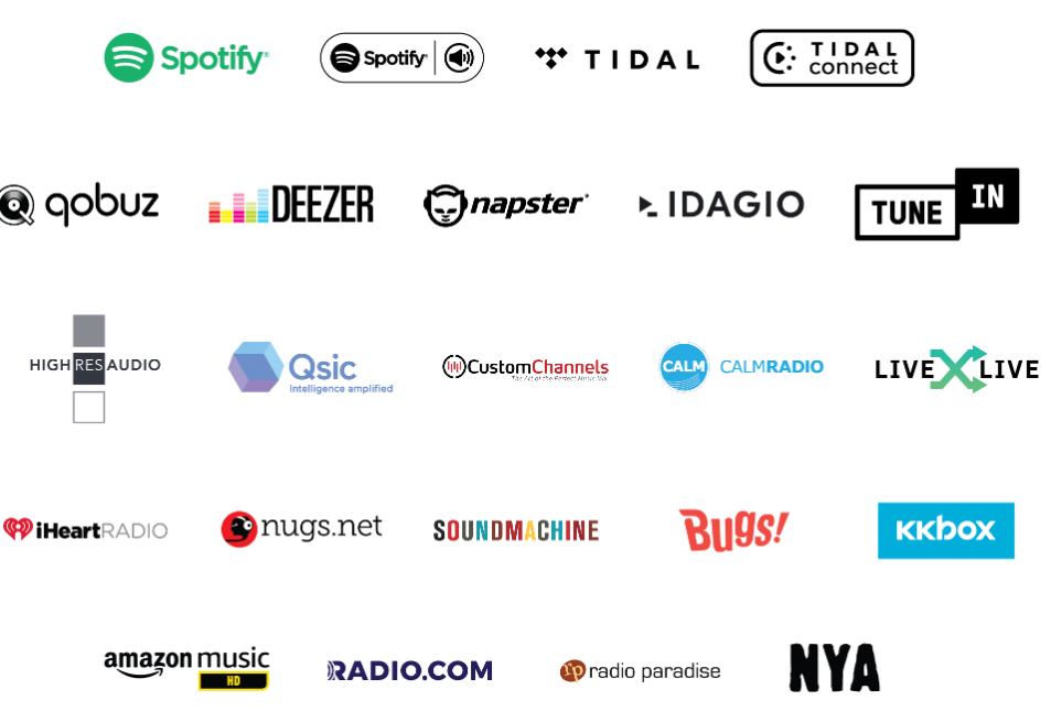 BLUESOUND PULSE FLEX 2i Diffusez n'importe quelle musique