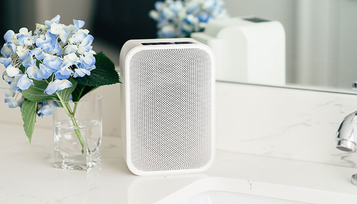 BLUESOUND PULSE FLEX 2i Description